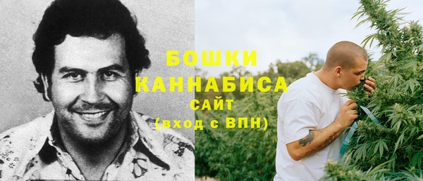 сатива Богородицк