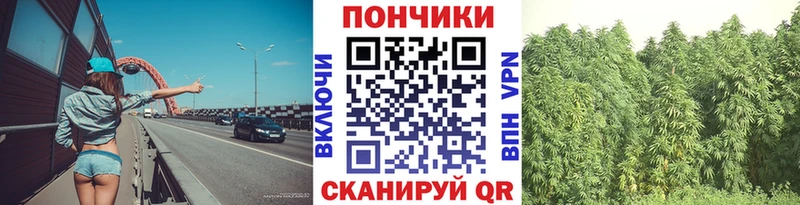 Каннабис план Лыткарино